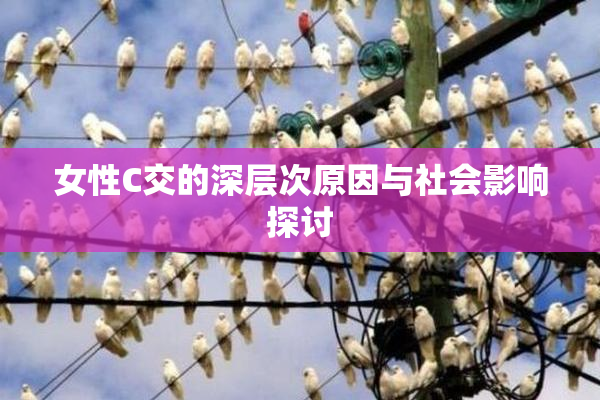 女性C交的深层次原因与社会影响探讨
