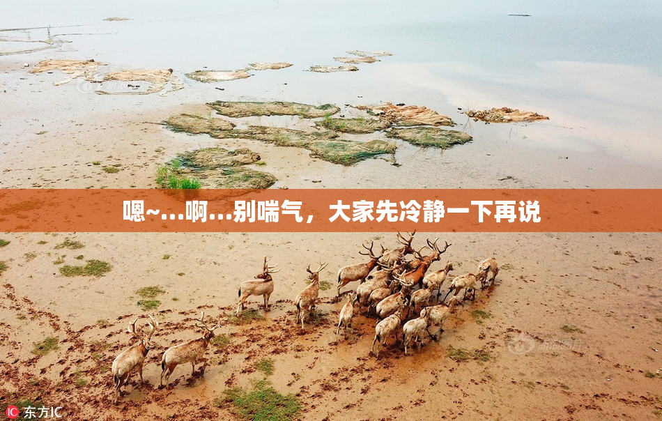 嗯~…啊…别喘气，大家先冷静一下再说