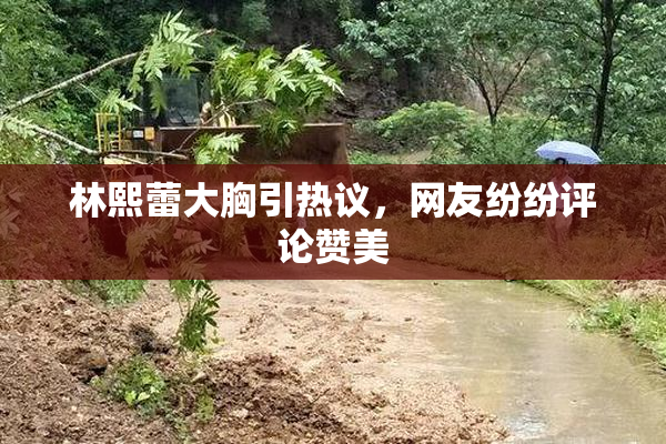 林熙蕾大胸引热议，网友纷纷评论赞美
