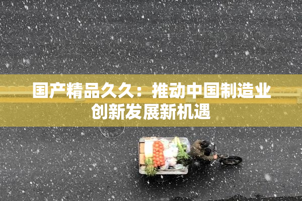 国产精品久久：推动中国制造业创新发展新机遇