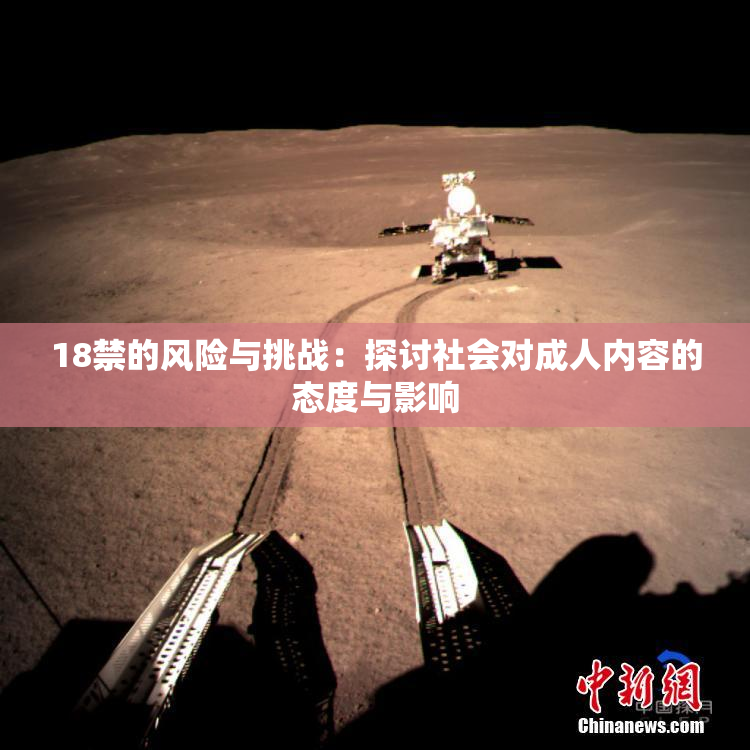18禁的风险与挑战：探讨社会对成人内容的态度与影响