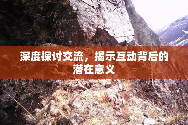 深度探讨交流，揭示互动背后的潜在意义