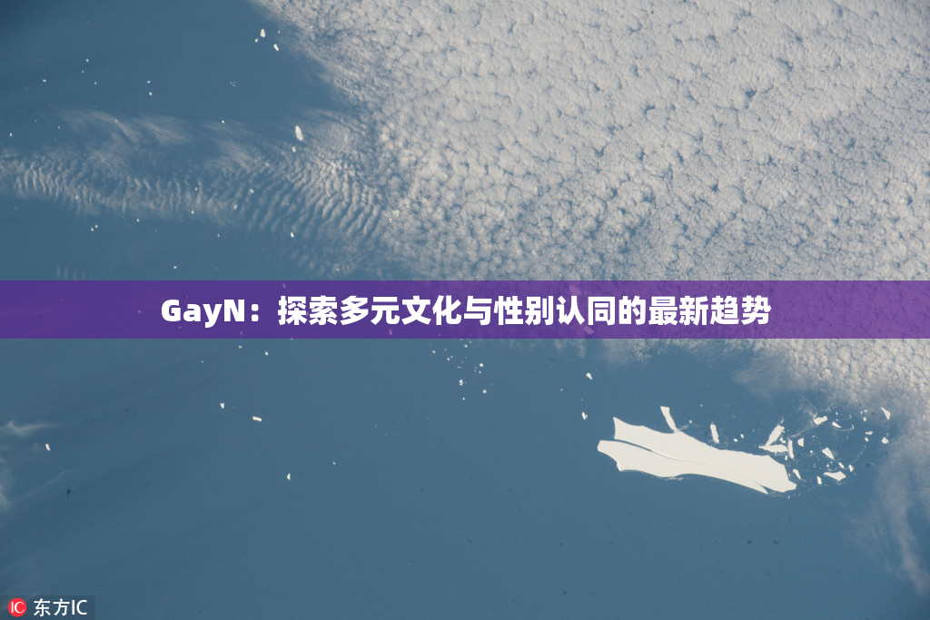 GayN：探索多元文化与性别认同的最新趋势