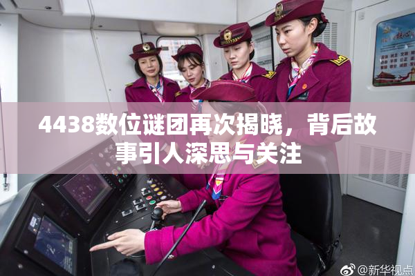 4438数位谜团再次揭晓，背后故事引人深思与关注