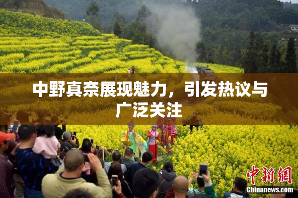 中野真奈展现魅力，引发热议与广泛关注