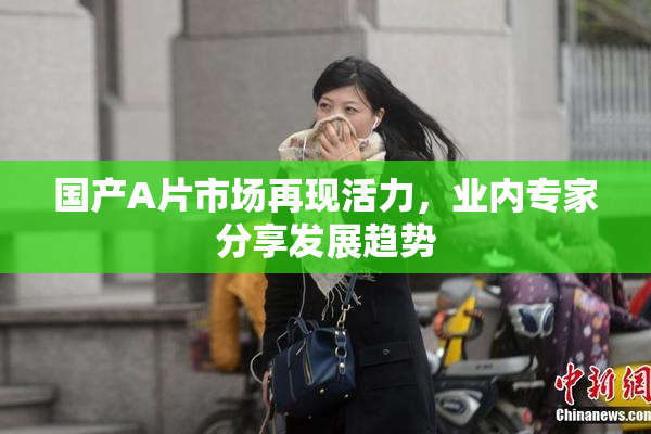 国产A片市场再现活力，业内专家分享发展趋势