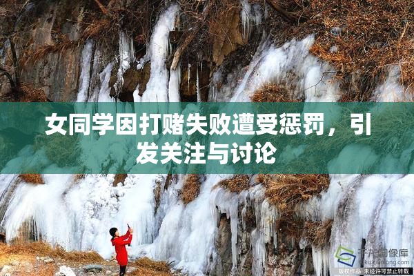 女同学因打赌失败遭受惩罚，引发关注与讨论
