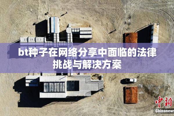 bt种子在网络分享中面临的法律挑战与解决方案