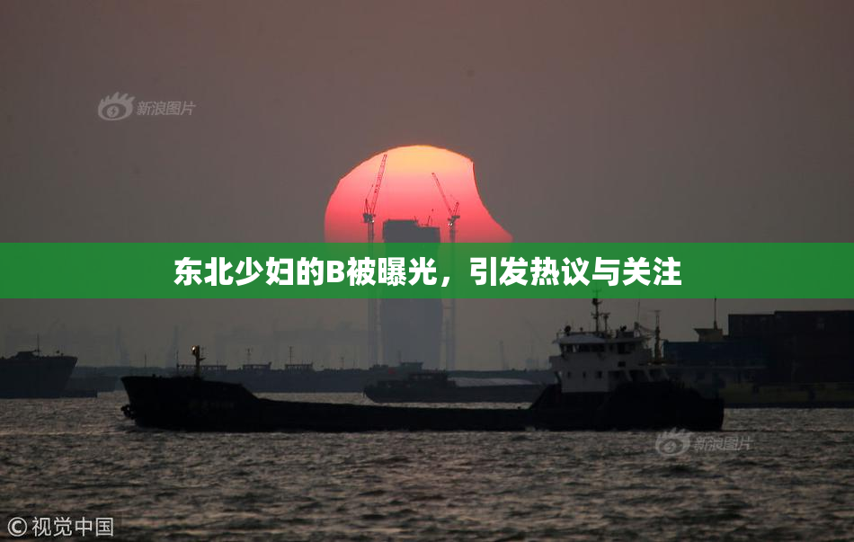 东北少妇的B被曝光，引发热议与关注