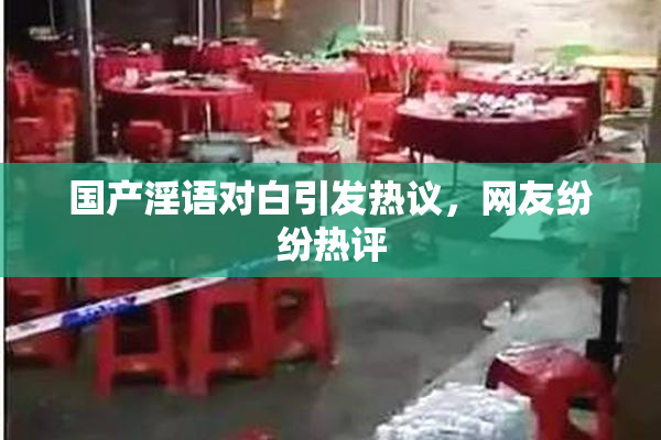 国产淫语对白引发热议，网友纷纷热评