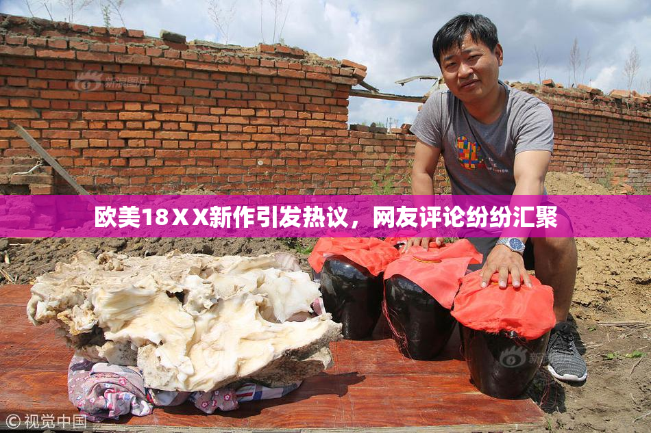 欧美18ⅩX新作引发热议，网友评论纷纷汇聚