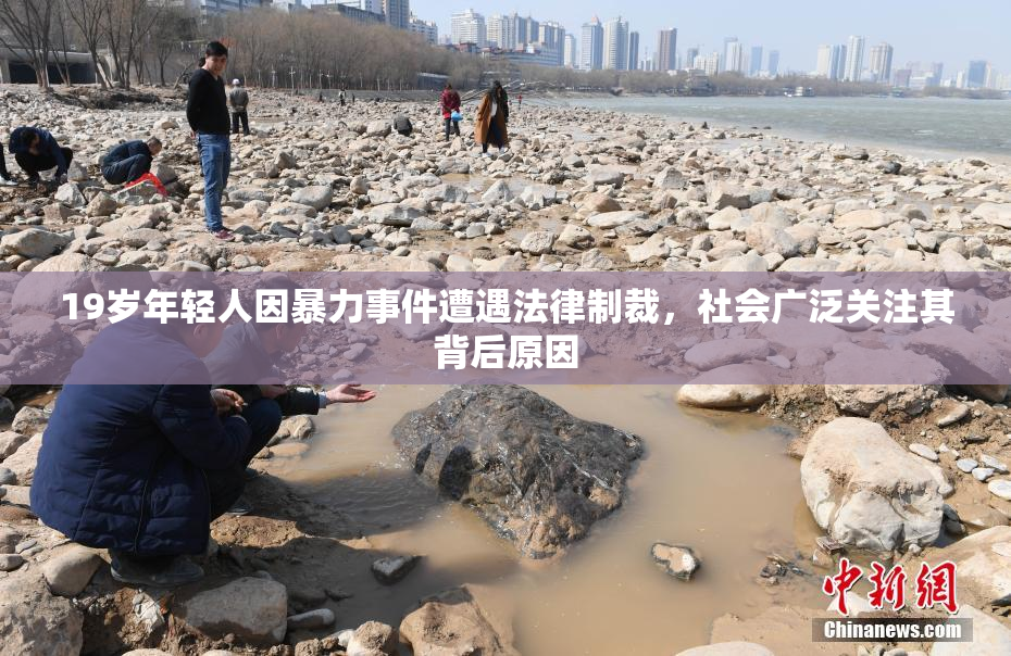 19岁年轻人因暴力事件遭遇法律制裁，社会广泛关注其背后原因
