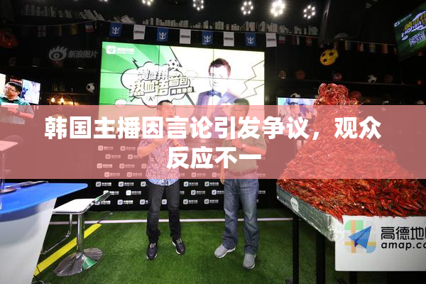 韩国主播因言论引发争议，观众反应不一