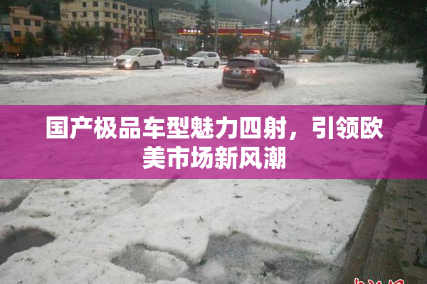 国产极品车型魅力四射，引领欧美市场新风潮
