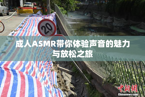 成人ASMR带你体验声音的魅力与放松之旅