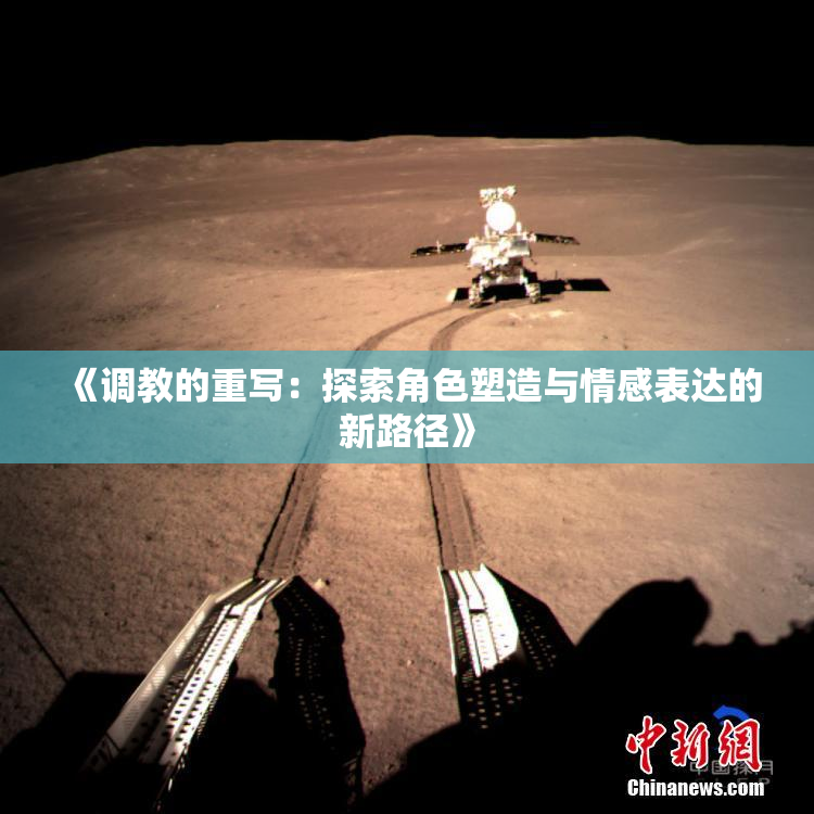 《调教的重写：探索角色塑造与情感表达的新路径》