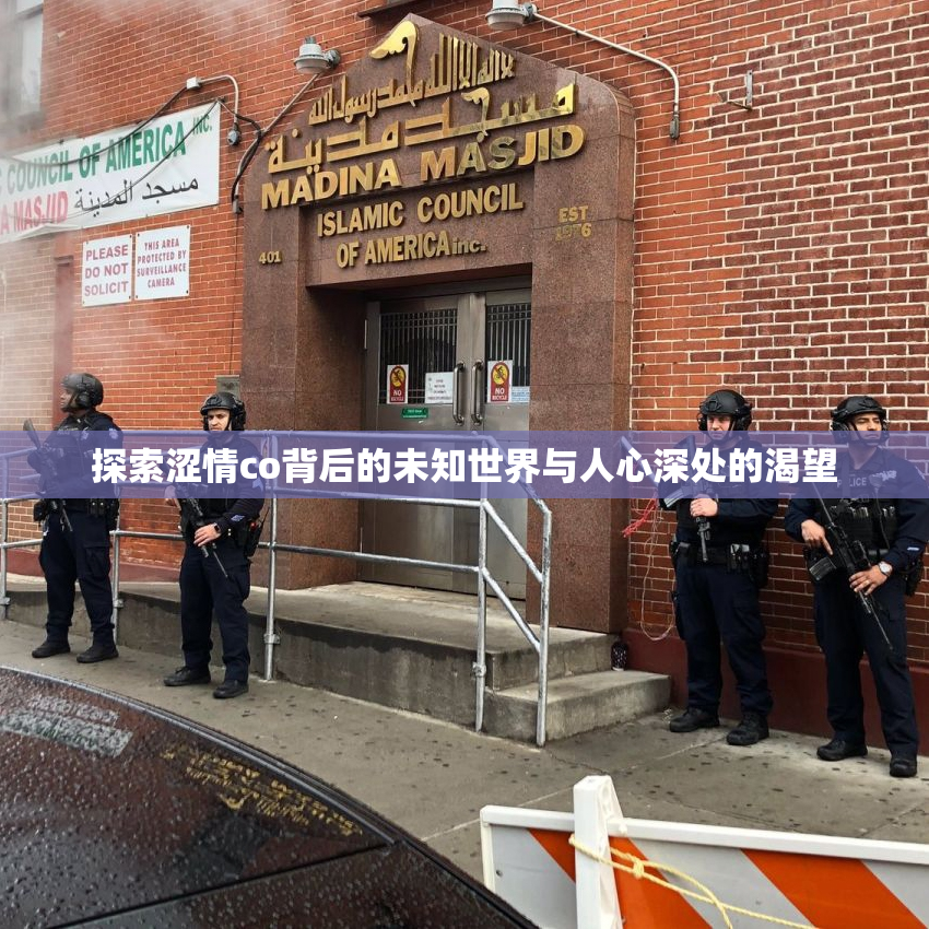 探索涩情co背后的未知世界与人心深处的渴望