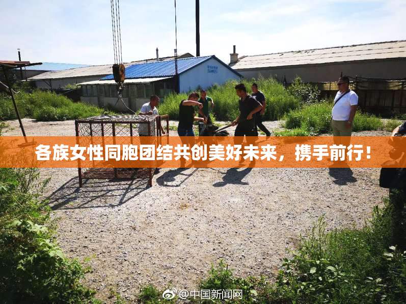 各族女性同胞团结共创美好未来，携手前行！