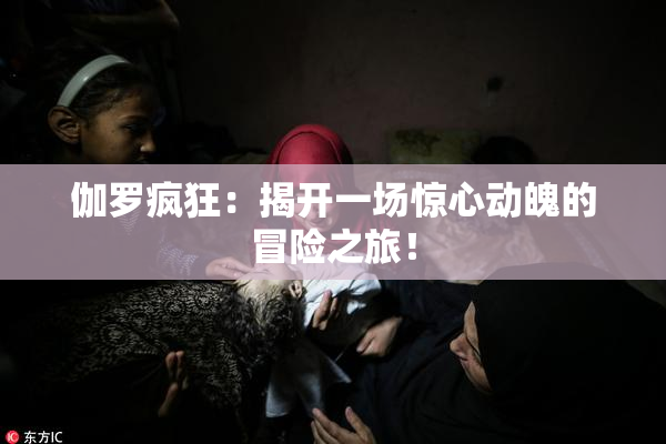 伽罗疯狂：揭开一场惊心动魄的冒险之旅！