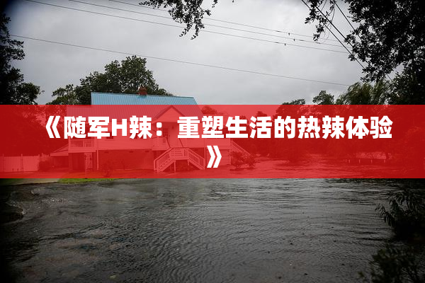 《随军H辣：重塑生活的热辣体验》