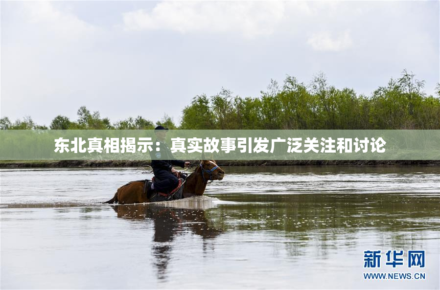东北真相揭示：真实故事引发广泛关注和讨论