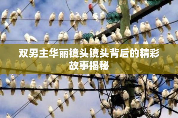 双男主华丽镜头镜头背后的精彩故事揭秘