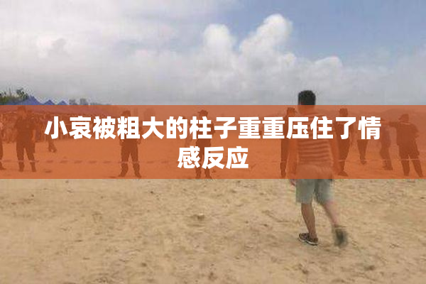 小哀被粗大的柱子重重压住了情感反应