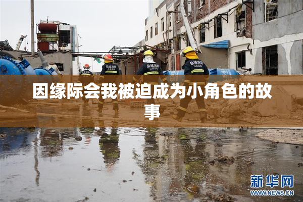 因缘际会我被迫成为小角色的故事
