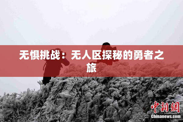 无惧挑战：无人区探秘的勇者之旅