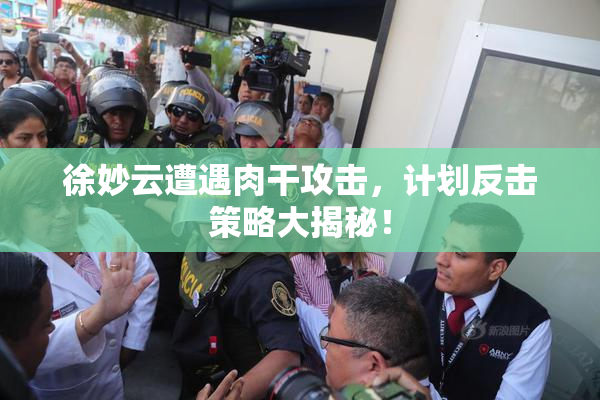 徐妙云遭遇肉干攻击，计划反击策略大揭秘！