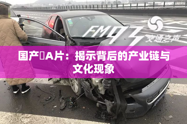 国产婬A片：揭示背后的产业链与文化现象