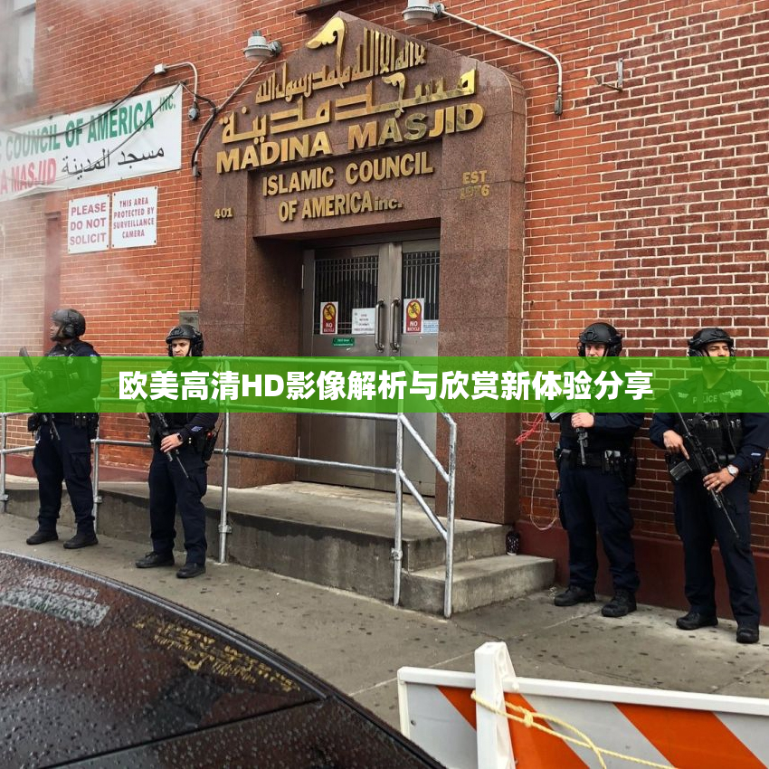 欧美高清HD影像解析与欣赏新体验分享