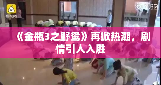 《金瓶3之野鸳》再掀热潮，剧情引人入胜
