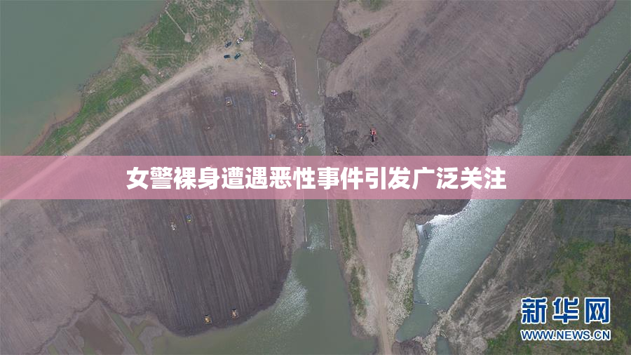 女警裸身遭遇恶性事件引发广泛关注