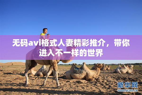 无码avi格式人妻精彩推介，带你进入不一样的世界