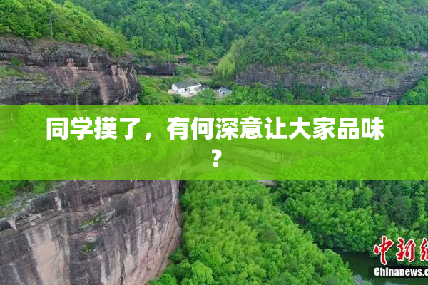 同学摸了，有何深意让大家品味？