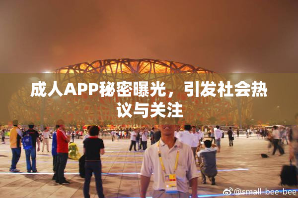 成人APP秘密曝光，引发社会热议与关注
