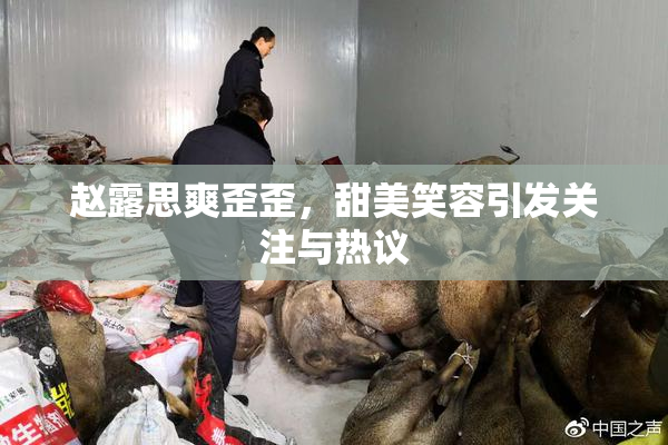 赵露思爽歪歪，甜美笑容引发关注与热议