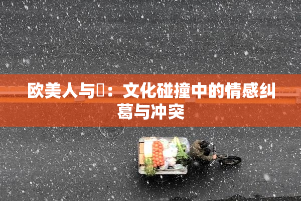 欧美人与嘼：文化碰撞中的情感纠葛与冲突