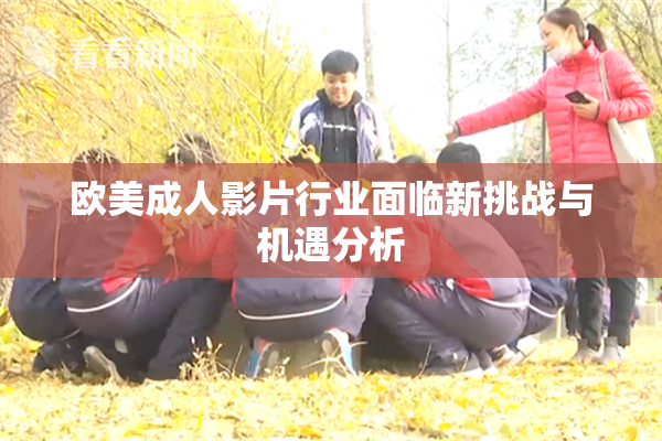 欧美成人影片行业面临新挑战与机遇分析