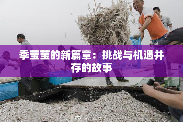 季莹莹的新篇章：挑战与机遇并存的故事