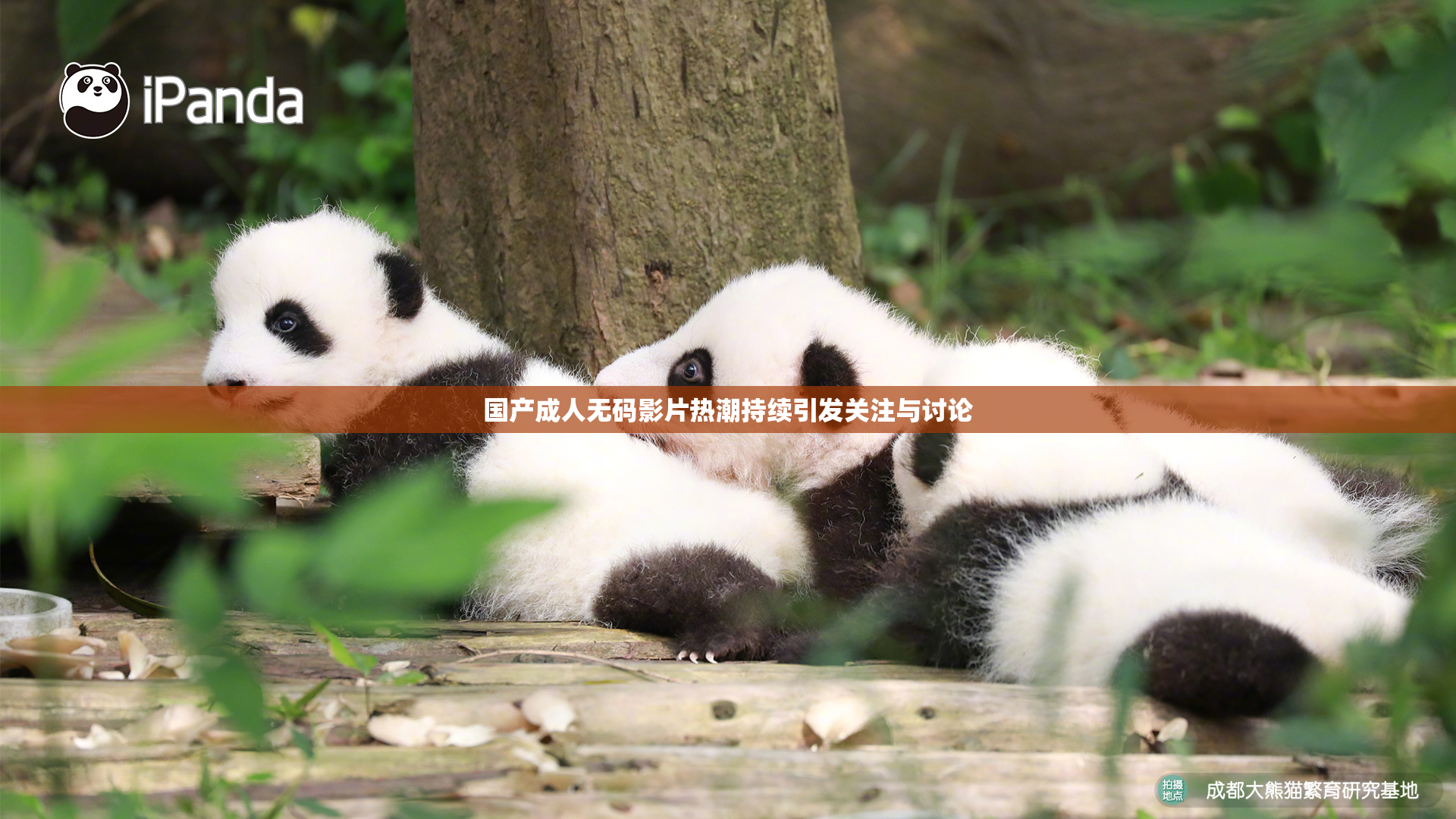 国产成人无码影片热潮持续引发关注与讨论