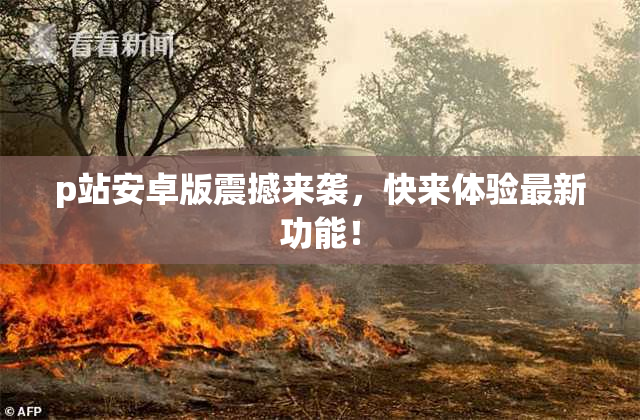 p站安卓版震撼来袭，快来体验最新功能！
