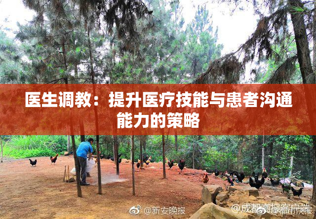 医生调教：提升医疗技能与患者沟通能力的策略