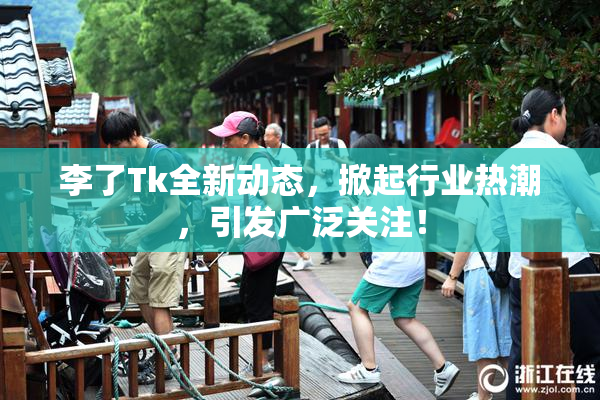 李了Tk全新动态，掀起行业热潮，引发广泛关注！
