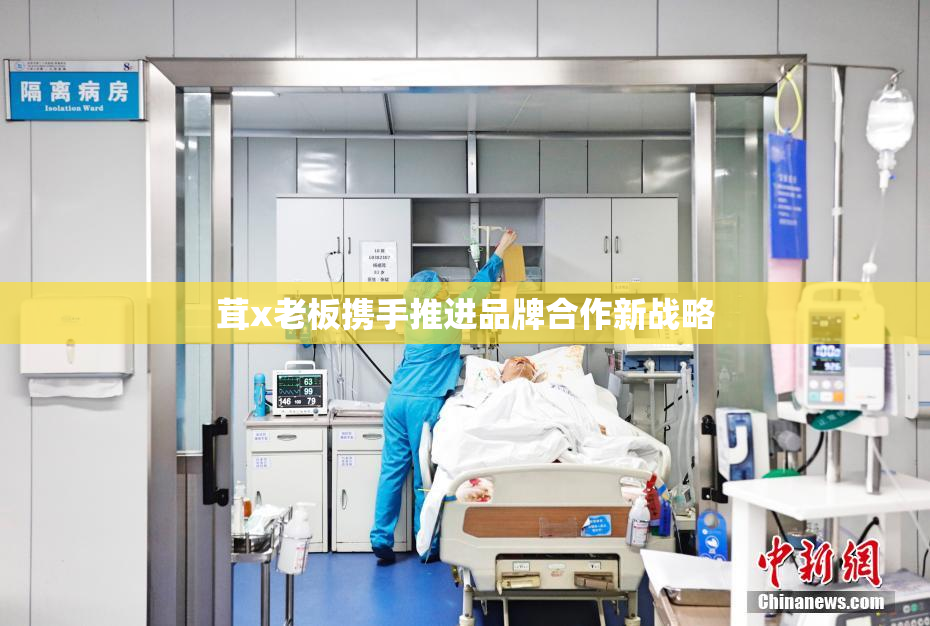 茸x老板携手推进品牌合作新战略