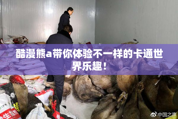酷漫熊a带你体验不一样的卡通世界乐趣！