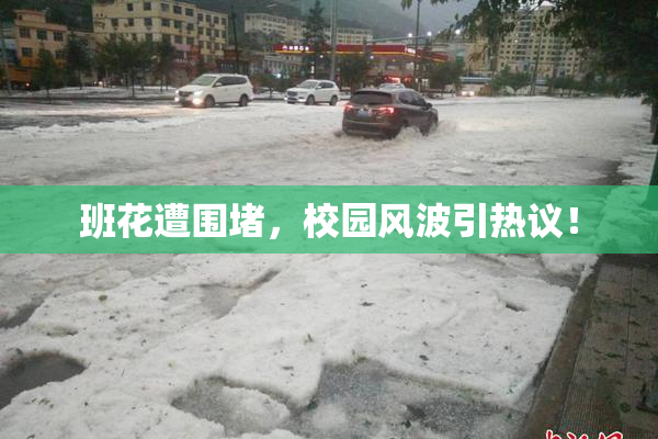 班花遭围堵，校园风波引热议！