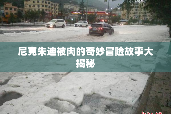 尼克朱迪被肉的奇妙冒险故事大揭秘