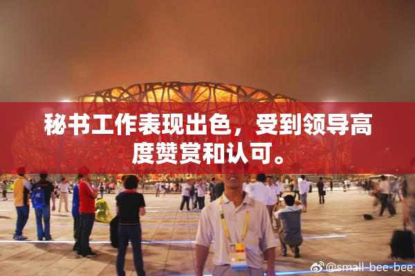 秘书工作表现出色，受到领导高度赞赏和认可。